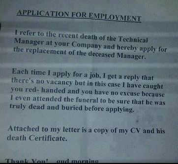 Job Application Letter: Free Template + 3 Examples (2026)